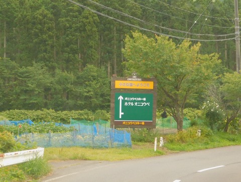DSCN0279