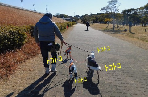 273520018_494663518973087_188598747114122394_n