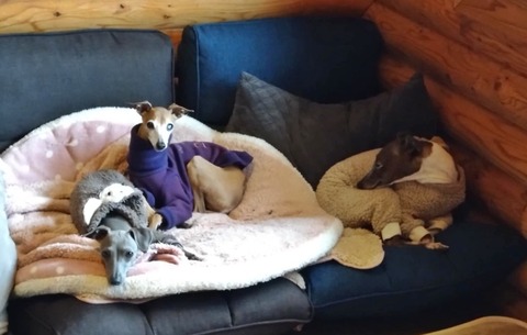 96dc125d-a56a-44a4-8ff4-d102381ca578