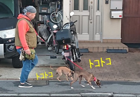 248337633_374909411040500_5959629245534020848_n