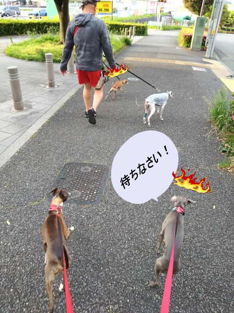 5296d7ea-c59c-4064-a5b4-1136177c2506