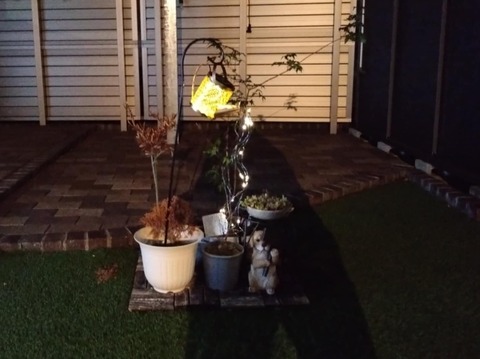 6d6794fc-baf8-408c-b7d5-1c41aa32ce29