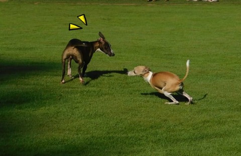 218879072_2985101961764366_6010665699379707246_n