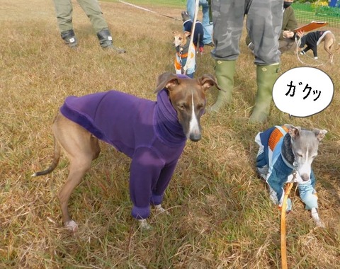 260748999_652957952754821_3015012611322549498_n