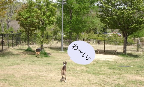 186454808_2296361930496331_3925538597379702782_n