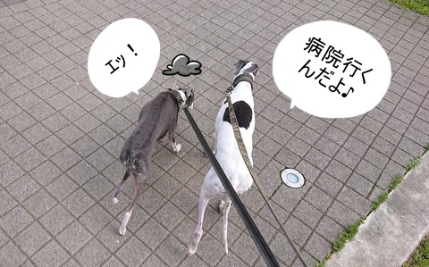 278041082_348220667368141_8259095236098473047_n - コピー