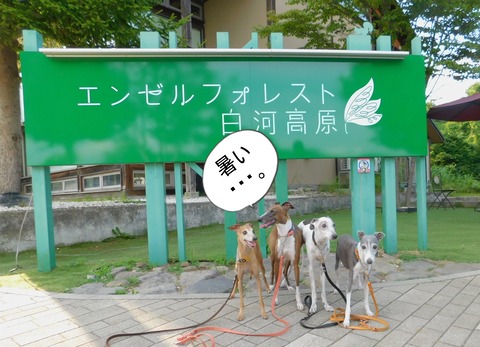 DSCN9570