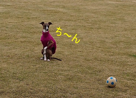 320445418_1227146374897733_7210134331897133118_n