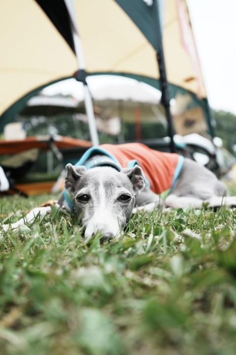 f9836ab0-e366-4a8a-ae16-a9e5827b347b