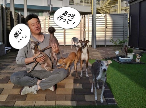 21aae37e-1832-4d97-8f0e-83c60cdca106