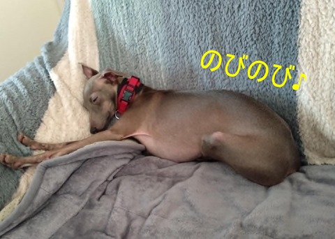 ダウンロード (1)