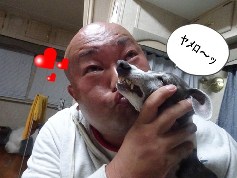 175689468_124903966296904_263870686044158790_n