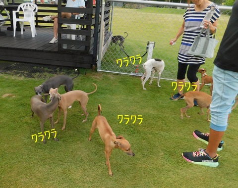 DSCN6403