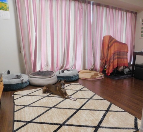 308057916_815693922793618_5658657011727044006_n