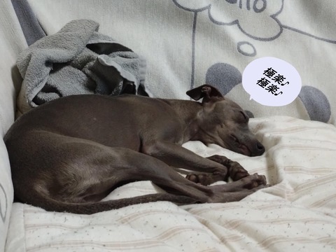 bbed6fb6-f704-474d-b0fa-234403a27712