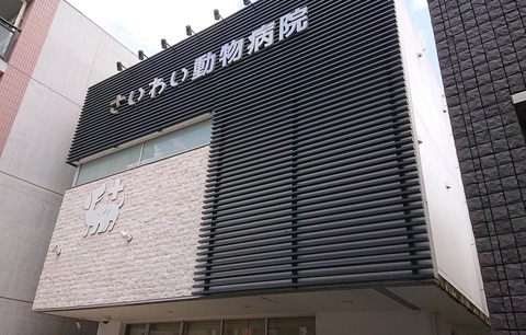 355824082_975908083746303_8029299601864902469_n