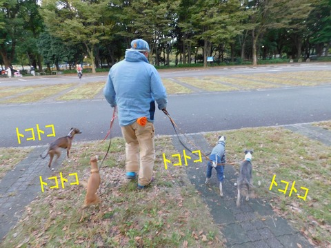 313934767_853186176096747_5884523794147764794_n