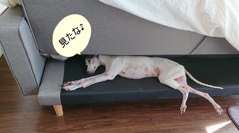 308660247_1018492808943500_8986495622228063770_n