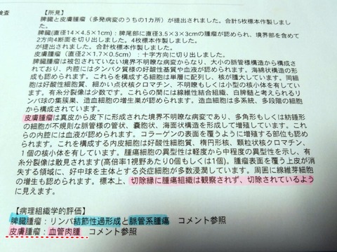 cf016a8b-9795-41d2-9ac3-16db08d38c66
