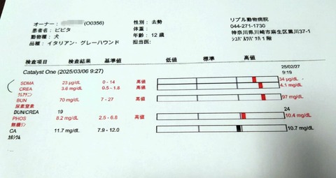 425457ca-a241-4fd9-bc35-7c287f376368