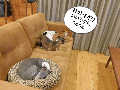 DSCN9594