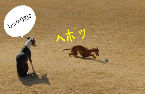 273821241_924469841602674_5566975327509918338_n