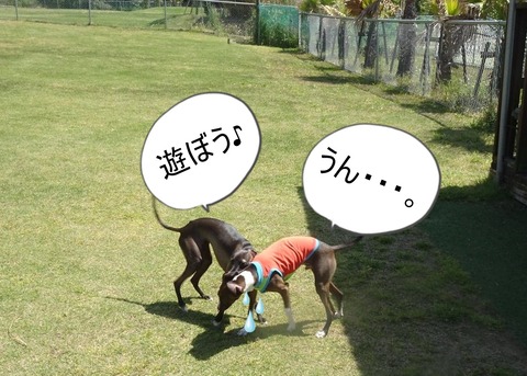 176087088_204452054568283_3742605478455141223_n