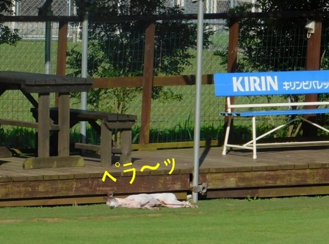 219060598_354958412876460_6561146074521375173_n