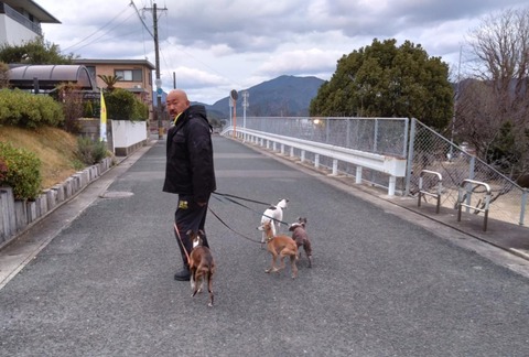 61f411f6-544e-422b-ad2f-96958839f3a4