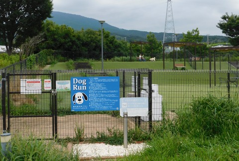 DSCN6360