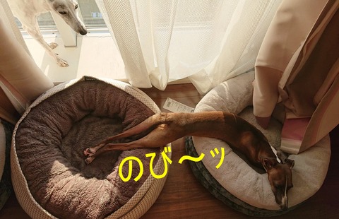 308181853_607313331070387_4366467883364009872_n