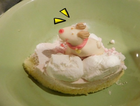 DSCN7172