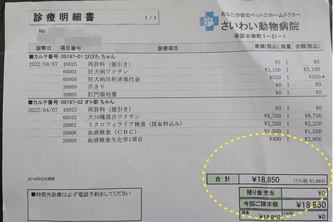 278012389_326614512902163_1283780940966247072_n