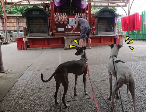 355039293_254803677248583_7989435896892526401_n