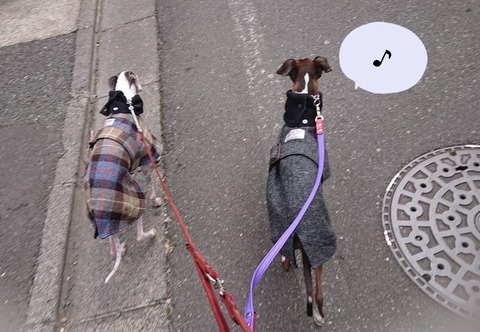 273490775_508738997248825_4669634980631848686_n