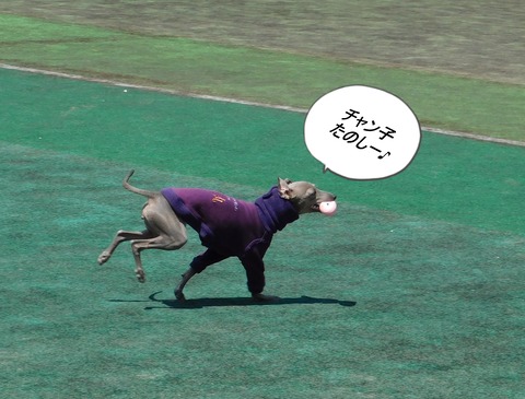 DSCN9872