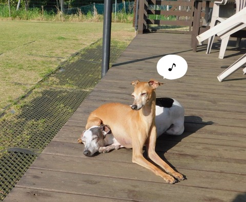 278531410_264051405854547_4111207131387789684_n