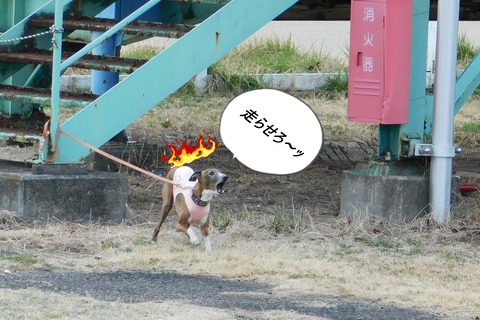 DSCN9305