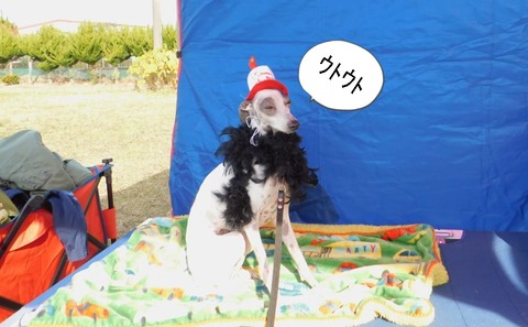 260021032_739817687408966_2102934899949295565_n