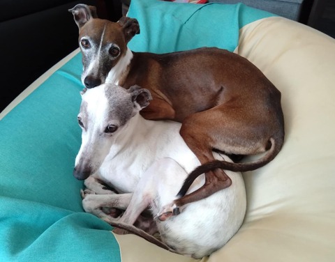 0976baf9-ce37-4a11-aa47-2c3bed49abc9