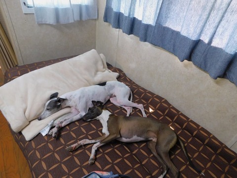 219287572_182387790590287_3205311313166468517_n