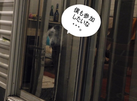 278413012_1021033125195160_1911502614423508185_n