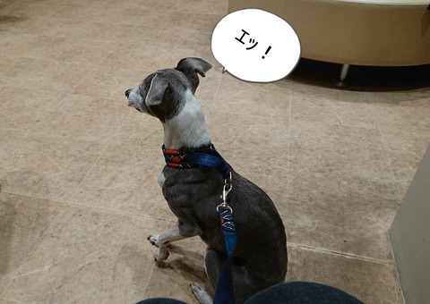 427939716_1311581416900963_1144477652986928044_n