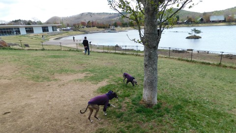 DSCN9776
