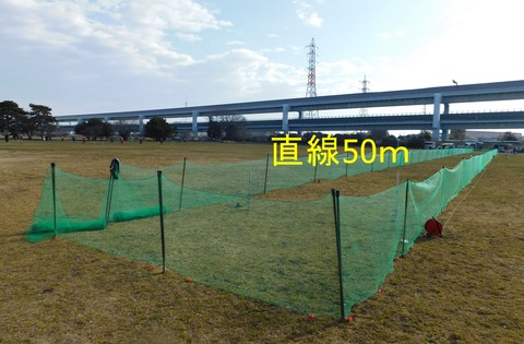 DSCN8925