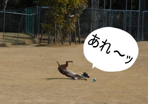 273766967_4770919479703759_8938790440949998656_n