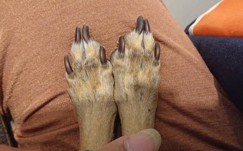 355612022_253567277274122_7649305866458961601_n