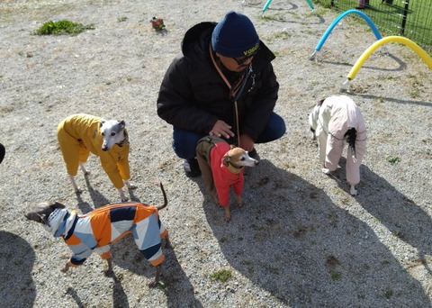 c4f08adf-7bca-442e-ad6f-c4efcc6ae2dc