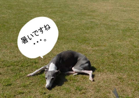 278785981_1028164114451133_8786603671984161214_n