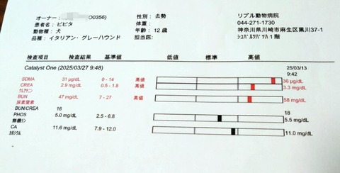 82e3a3e9-7cd5-4eec-9397-0e60a44003fc